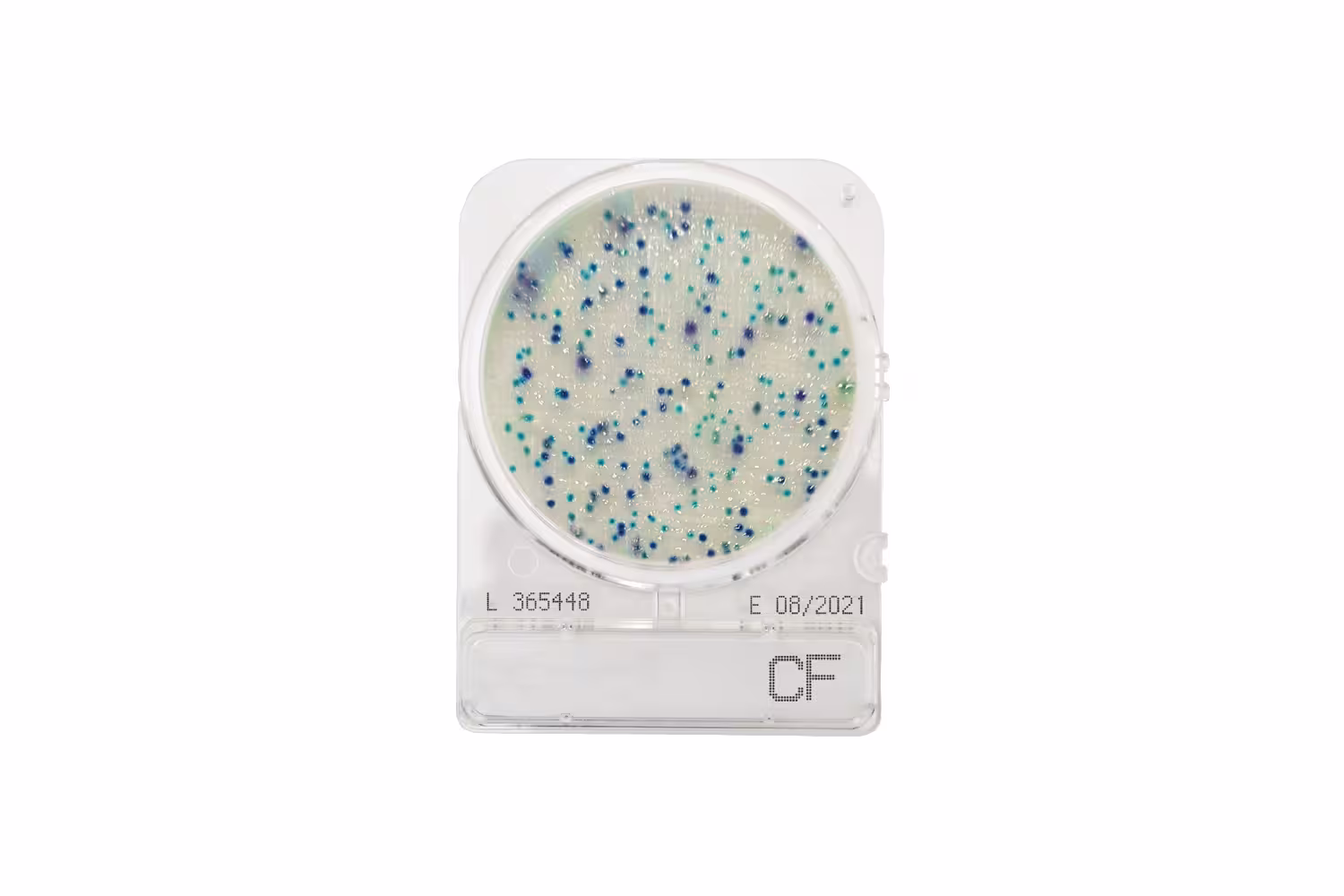 Compact Dry CF Compact Dry CF