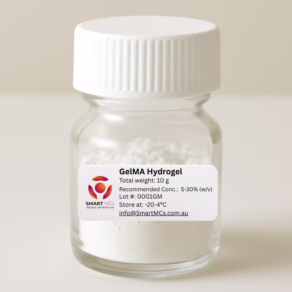 GelMA Gelatin Methacryloyl 100g GelMA Gelatin Methacryloyl 100g